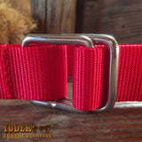 Square Ring Red Nylon Belt