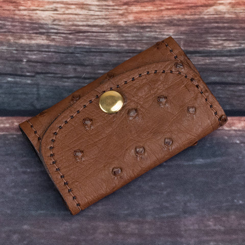 Ostrich Key Holder